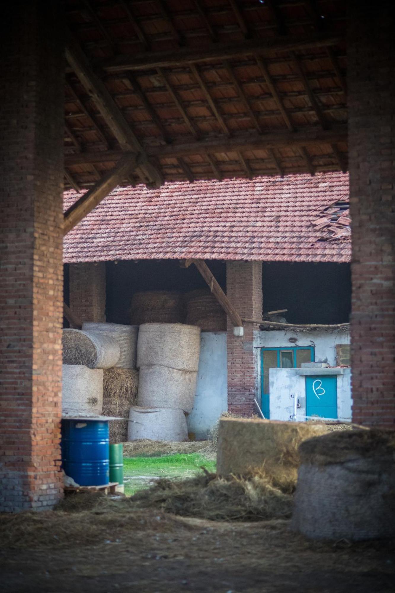 Agriturismo Beatilla Marmirolo Kültér fotó