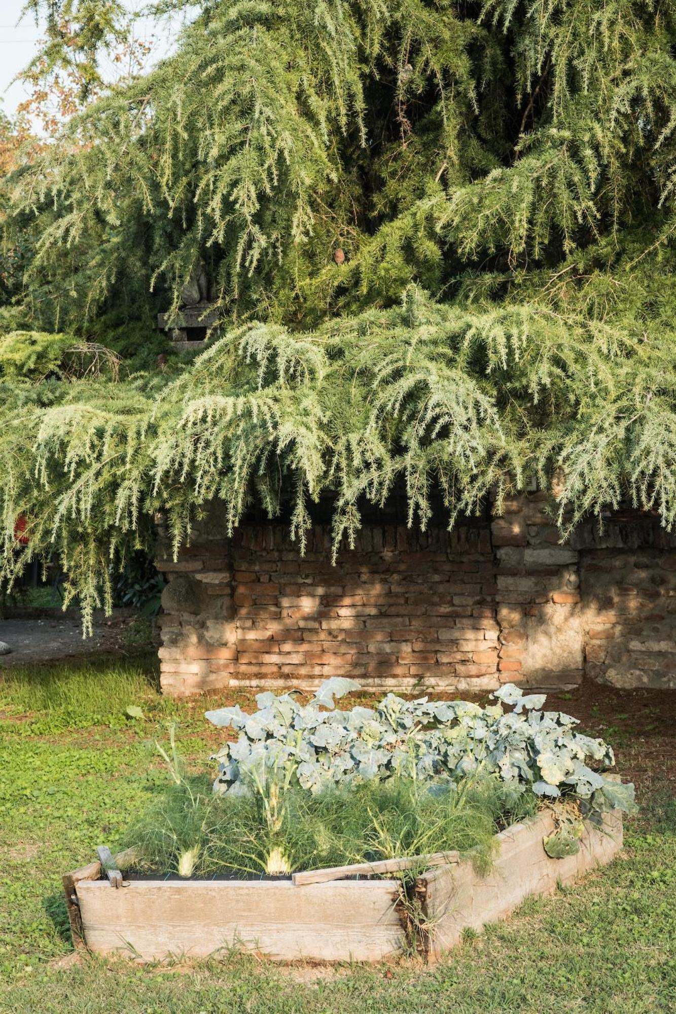 Agriturismo Beatilla Marmirolo Kültér fotó